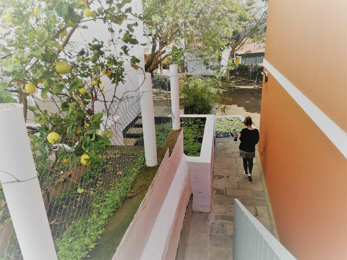 Apartamento Lemmon Tree Santa Brígida Exterior photo